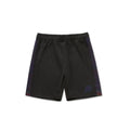 A&P Metamorphosis No-Gi Shorts