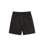 A&P Metamorphosis No-Gi Shorts
