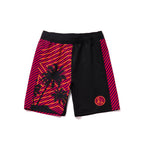 A&P x In4mation 2 No-Gi Shorts | Hawaiian Streetwear BJJ Fightwear
